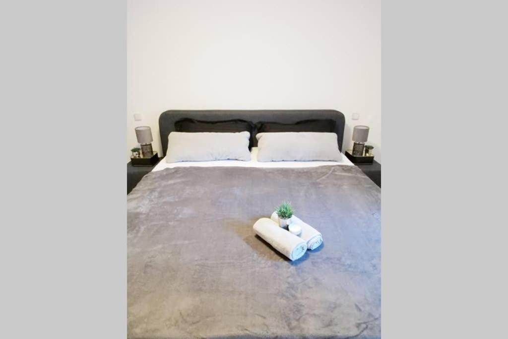 Ferienwohnung Rhode Rielasingen-Worblingen Ngoại thất bức ảnh
